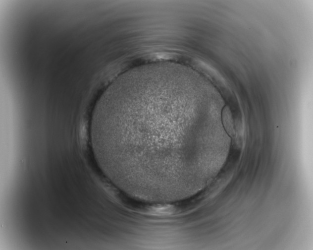 X0000098090410200804111007