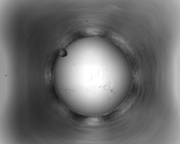 X0000098090418200804111006