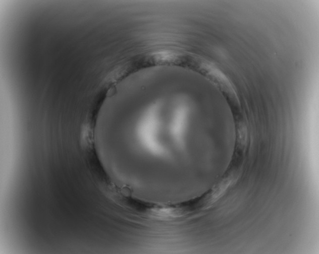 X0000098090419200804111006
