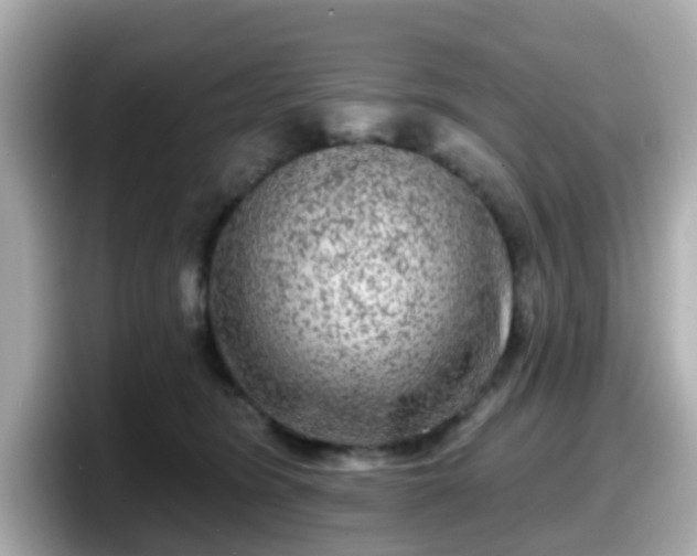 X0000098090420200804111006