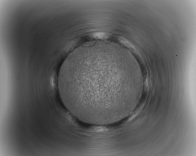 X0000098090424200804111006