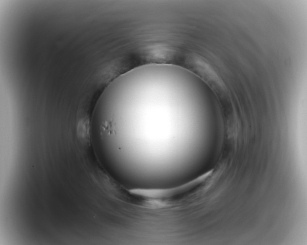 X0000098090425200804111006