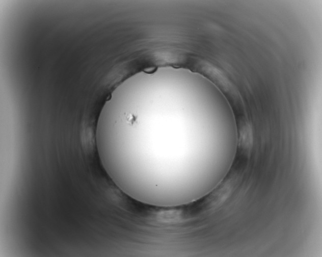 X0000098090426200804111006