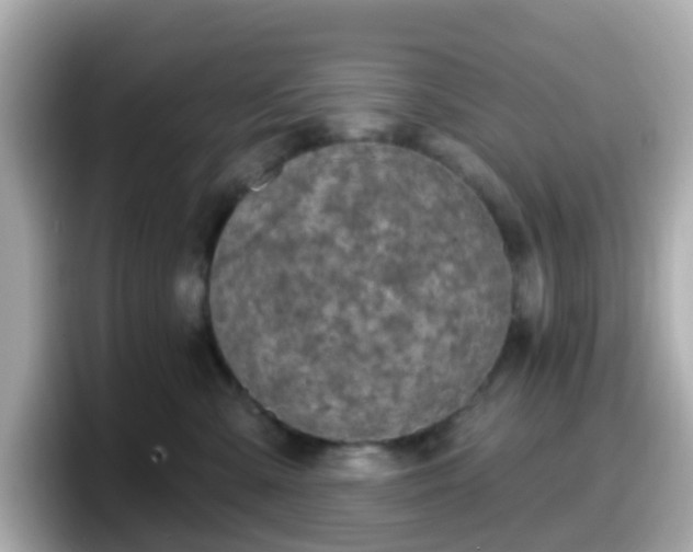 X0000098090427200804111006