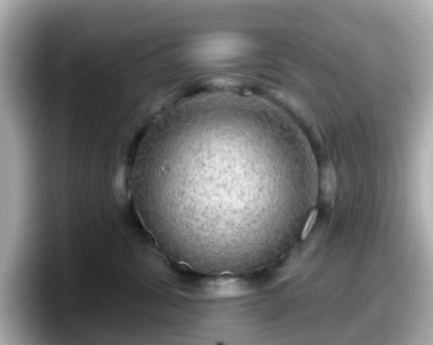 X0000098090428200804111006