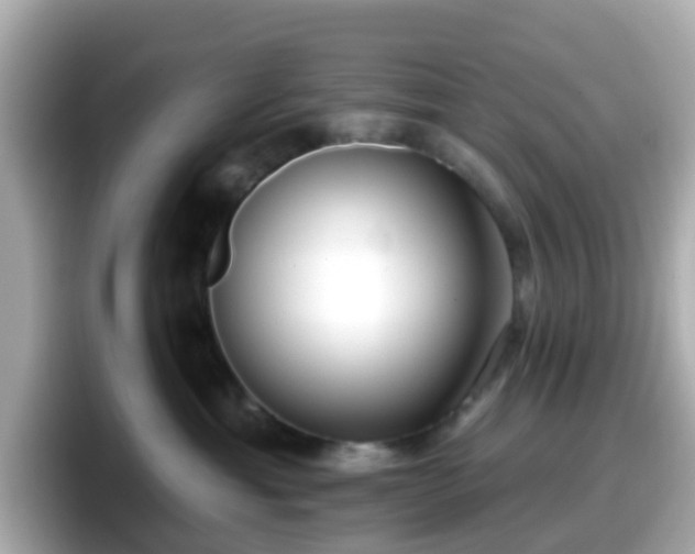 X0000098090429200804111006