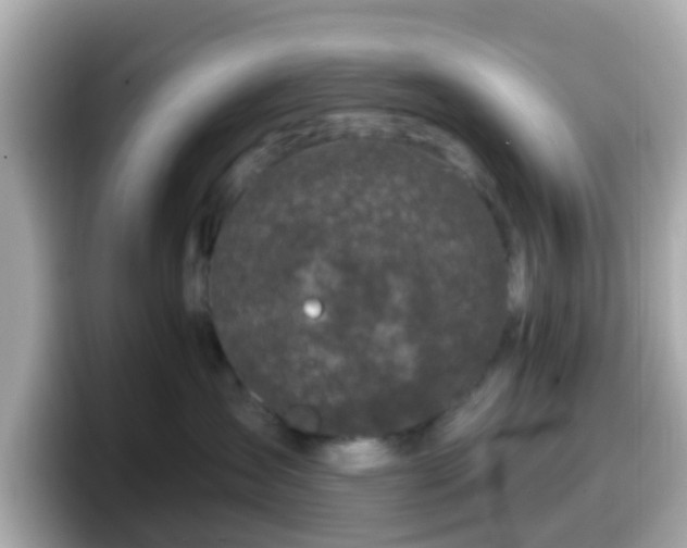 X0000098090431200804111006