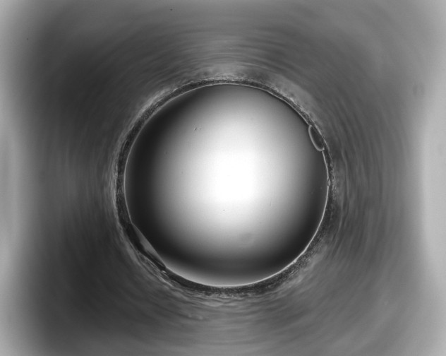 X0000098090434200804111006