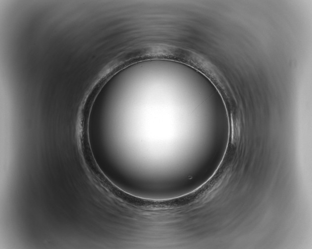 X0000098090435200804111006