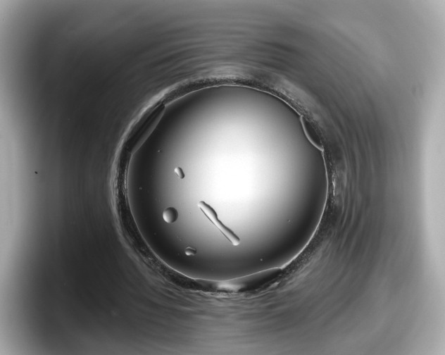 X0000098090436200804111006