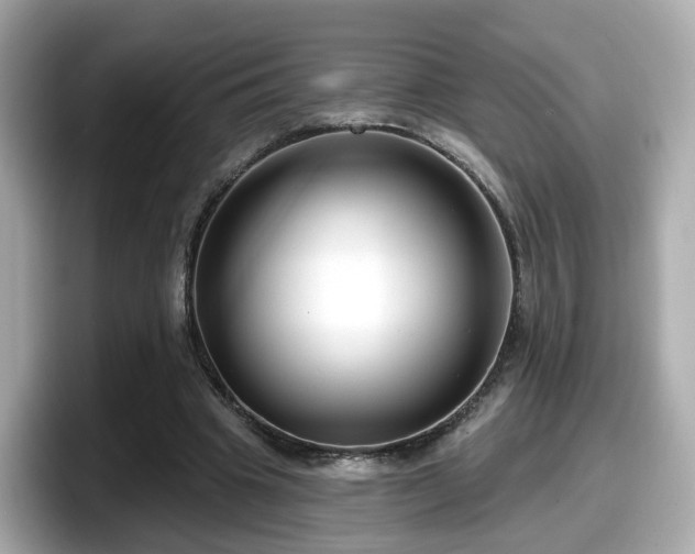 X0000098090441200804111006