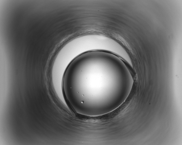 X0000098090444200804111006