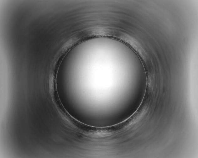 X0000098090445200804111006