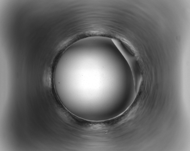 X0000098090446200804111006