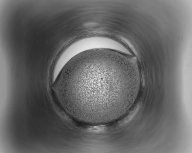 X0000098090447200804111006
