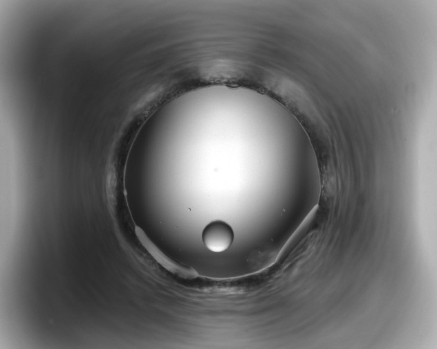 X0000098090448200804111006