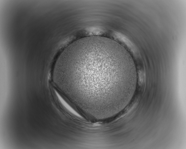 X0000098090451200804111006