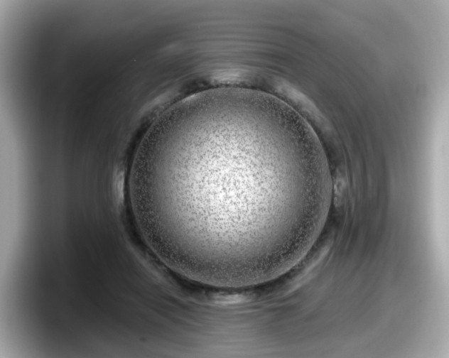 X0000098090454200804111006