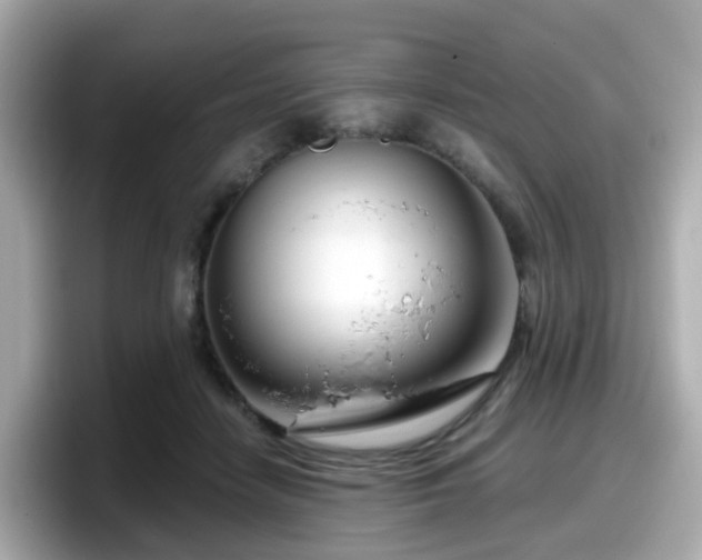 X0000098090458200804111006