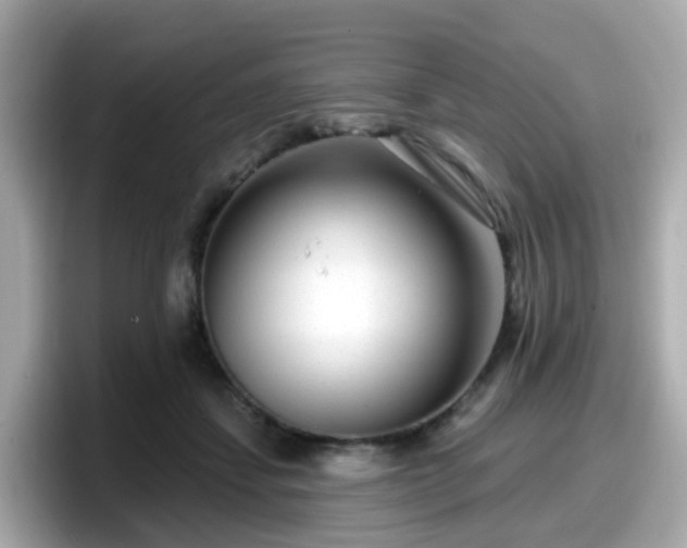 X0000098090459200804111006