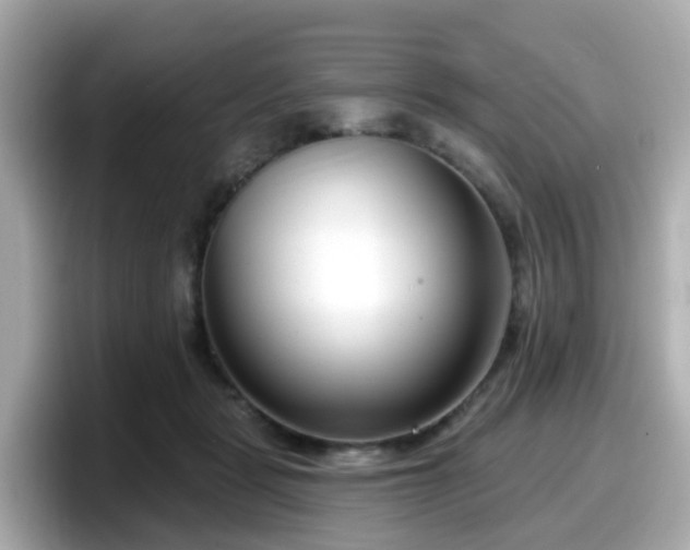 X0000098090461200804111006