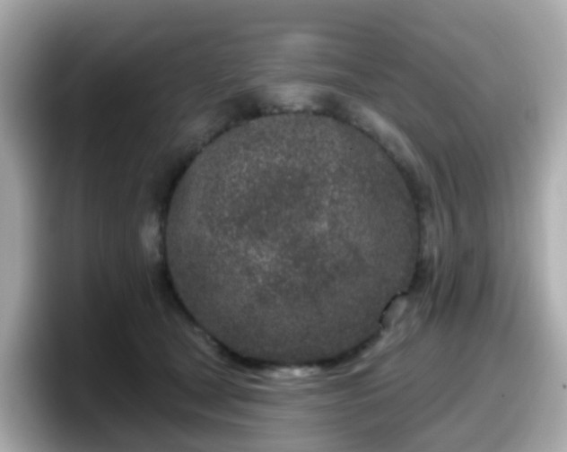 X0000098090465200804111006