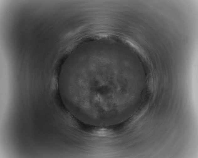 X0000098090467200804111006