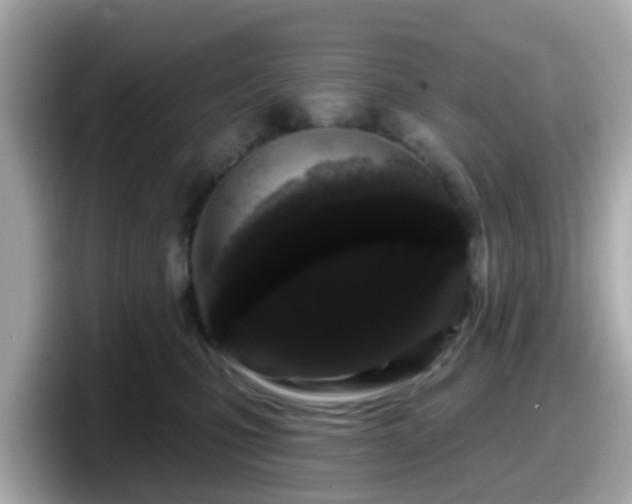 X0000098090471200804111006