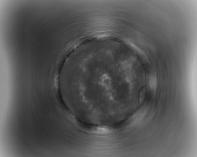 X0000098090475200804111006
