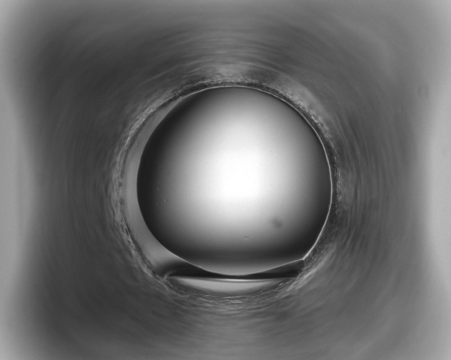 X0000098090481200804111006