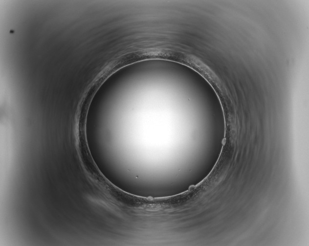 X0000098090482200804111006