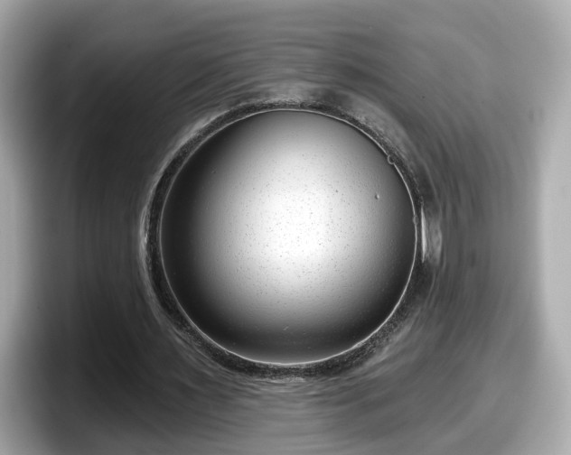 X0000098090483200804111006