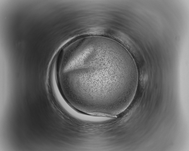 X0000098090484200804111006