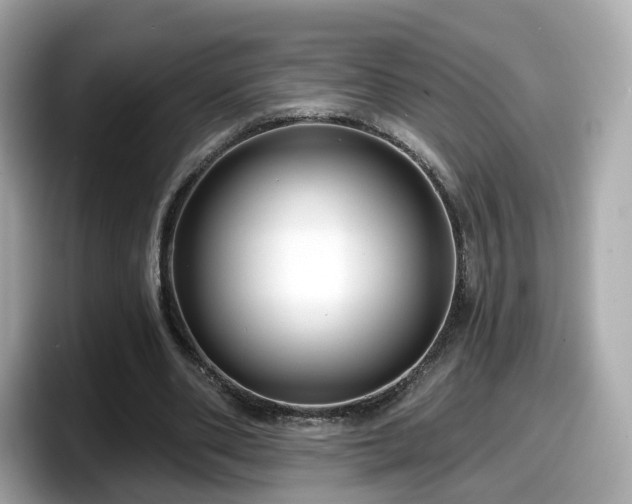X0000098090486200804111006