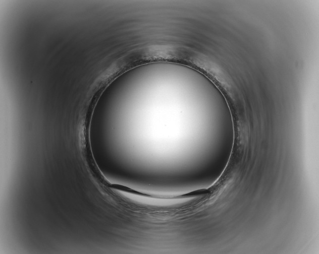 X0000098090489200804111005