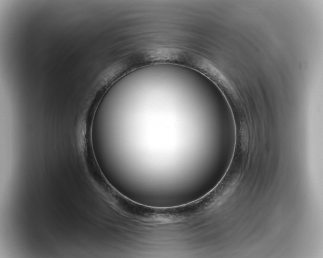 X0000098090490200804111005