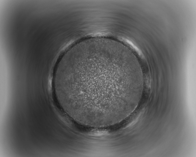 X0000098090491200804111005
