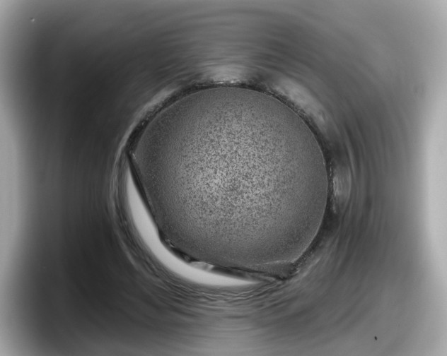 X0000098090492200804111005