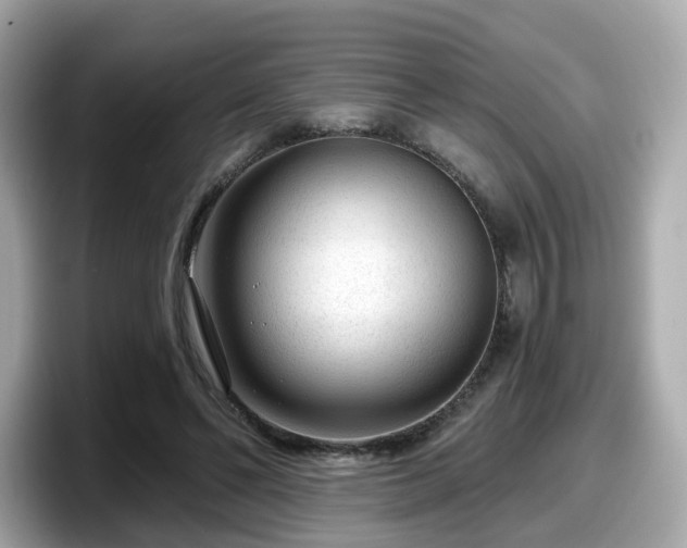 X0000098090494200804111005