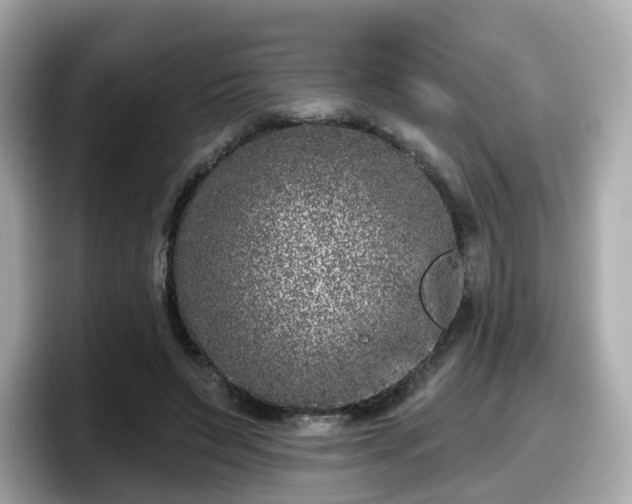 X0000098090495200804111005