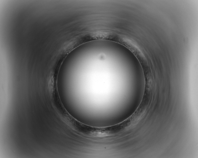X0000098090498200804111005