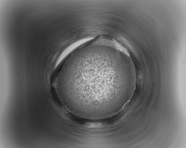 X0000098090500200804111005