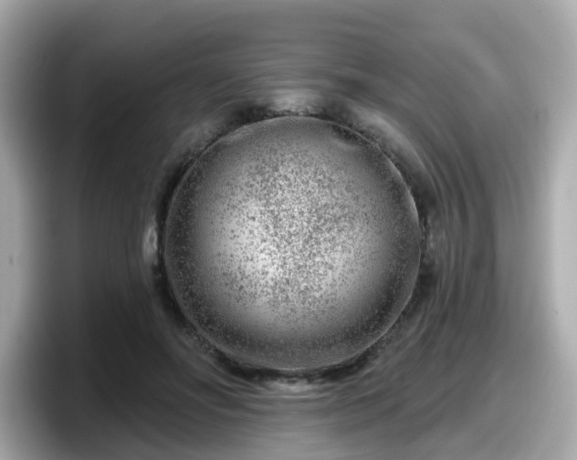 X0000098090502200804111005