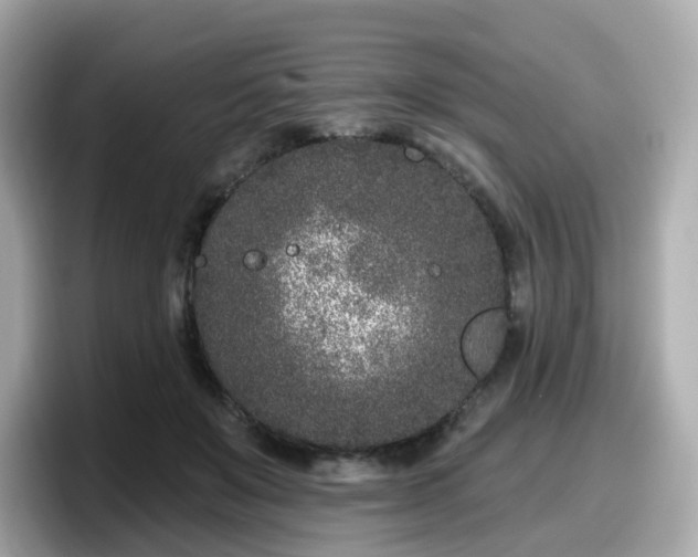 X0000098090503200804111005