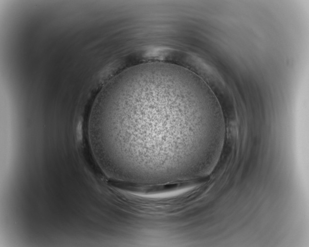 X0000098090504200804111005
