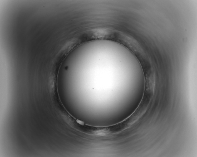 X0000098090505200804111005