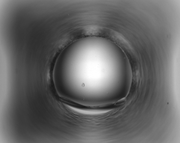 X0000098090508200804111005