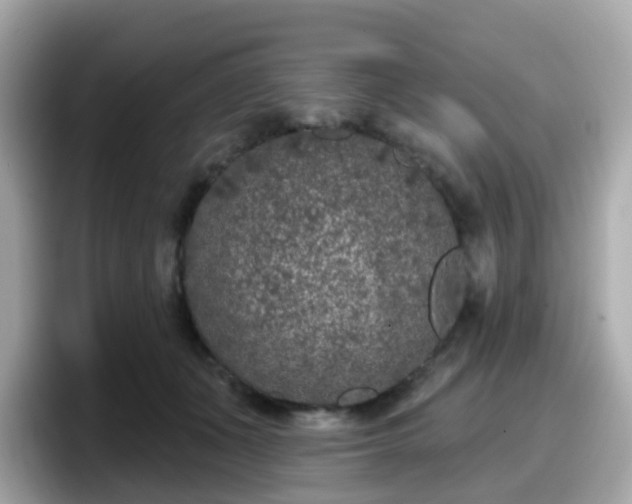 X0000098090511200804111005