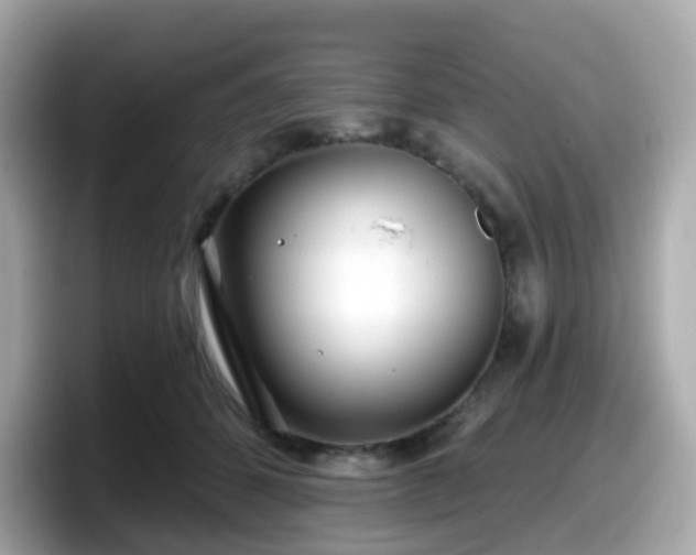 X0000098090512200804111005