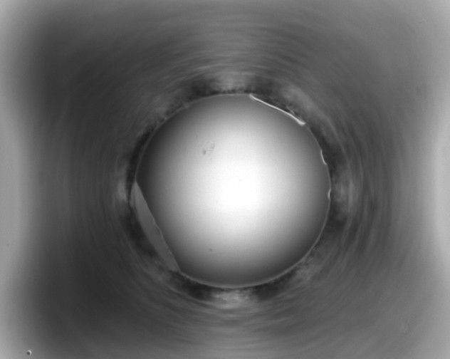 X0000098090516200804111005